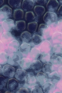 Vitreous #122 thumbnail