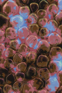 Vitreous #100 thumbnail