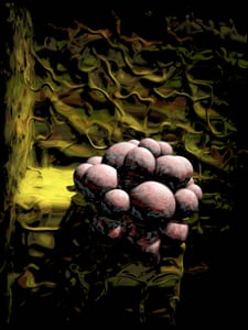 Balls to the Walls #28 thumbnail