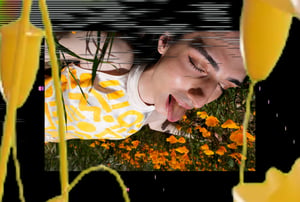 Allure of the Poppy #24 thumbnail