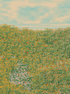 Superbloom #42 thumbnail