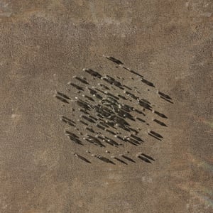 crystalline work (arctic) 7.5.300.1 thumbnail