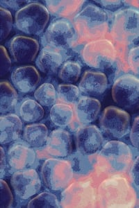 Vitreous #96 thumbnail