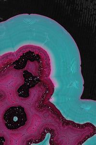 Dactylogram #13 thumbnail