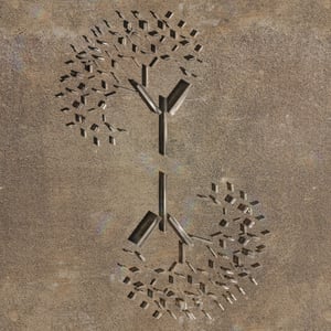 crystalline work (arctic) 18.2.27.1 thumbnail