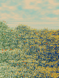Superbloom #18 thumbnail