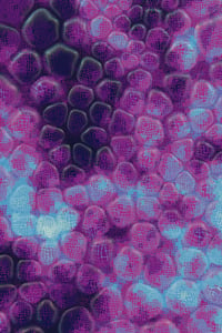 Vitreous #80 thumbnail
