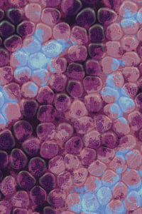 Vitreous #123 thumbnail