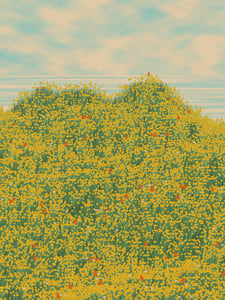 Superbloom #37 thumbnail
