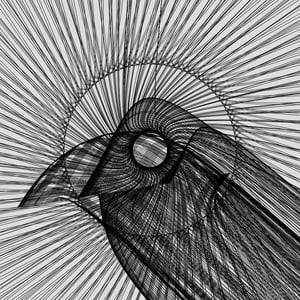 ANATOMY of a rabbit but bird #2 thumbnail