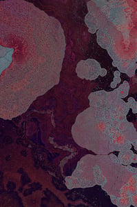 Dactylogram #110 thumbnail