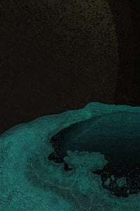 Dactylogram #32 thumbnail