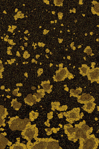 Dactylogram #50 thumbnail