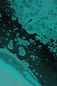 Dactylogram #61 thumbnail