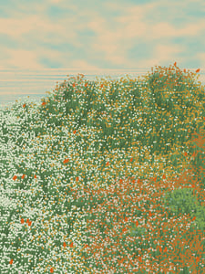 Superbloom #61 thumbnail