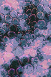 Vitreous #58 thumbnail