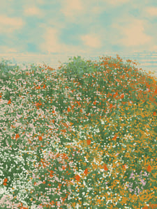 Superbloom #96 thumbnail