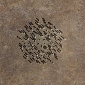 crystalline work (arctic) 19.5.317.1 thumbnail
