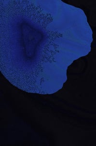Dactylogram #68 thumbnail