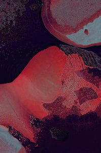 Dactylogram #29 thumbnail