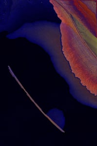 Dactylogram #103 thumbnail