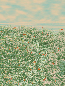 Superbloom #66 thumbnail