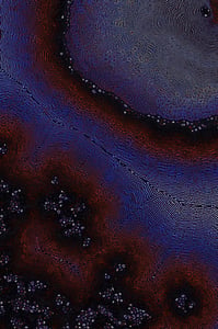 Dactylogram #47 thumbnail