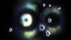 A broken symmetry — the cat's parabola #8 thumbnail