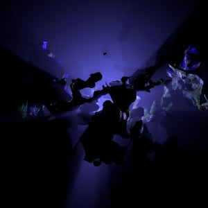 BLOOMCORE #12 thumbnail