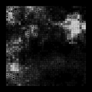 Fine Particles #11 thumbnail