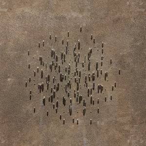 crystalline work (arctic) 9.5.311.1 thumbnail