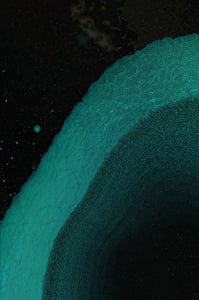 Dactylogram #83 thumbnail