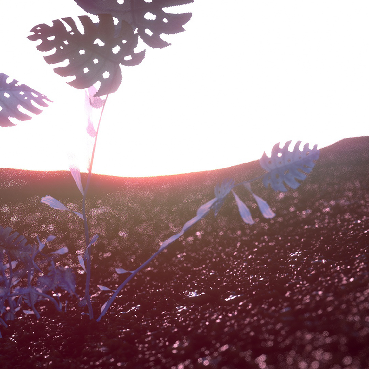 Cyanotype Plant Sketch by Alan Butler
