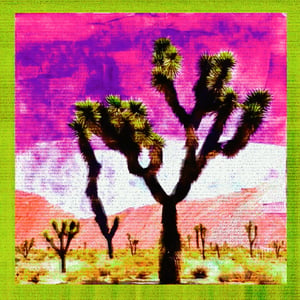Arid Articulations #22 thumbnail