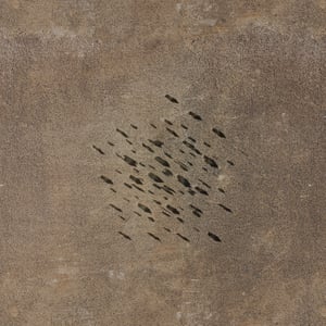 crystalline work (arctic) 6.5.316.1 thumbnail