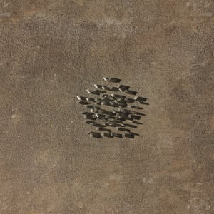 crystalline work (arctic) 5.5.298.1 thumbnail