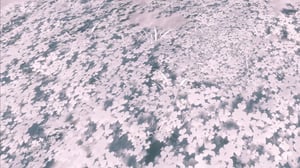 New Landscapes 2023 #16 thumbnail