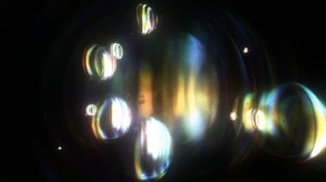 A broken symmetry — the cat's parabola #44 thumbnail