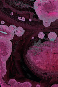 Dactylogram #56 thumbnail