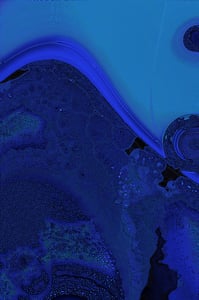 Dactylogram #15 thumbnail