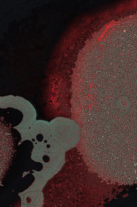 Dactylogram #90 thumbnail