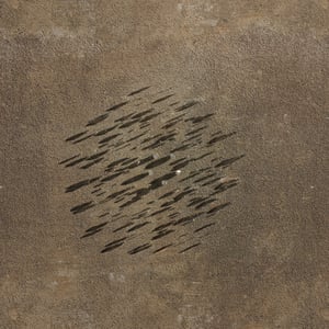 crystalline work (arctic) 14.5.300.1 thumbnail