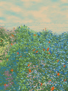 Superbloom #39 thumbnail