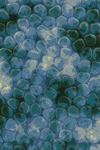 Vitreous #84 thumbnail