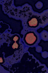 Dactylogram #27 thumbnail