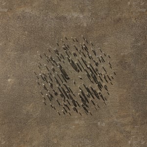 crystalline work (arctic) 7.5.293.1 thumbnail