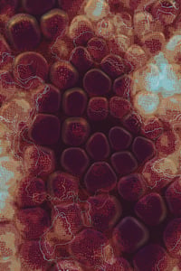 Vitreous #17 thumbnail