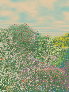 Superbloom thumbnail