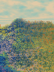 Superbloom #53 thumbnail