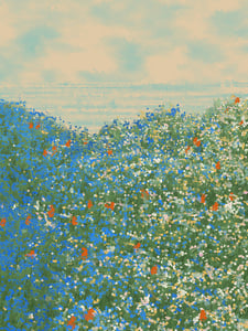 Superbloom #65 thumbnail
